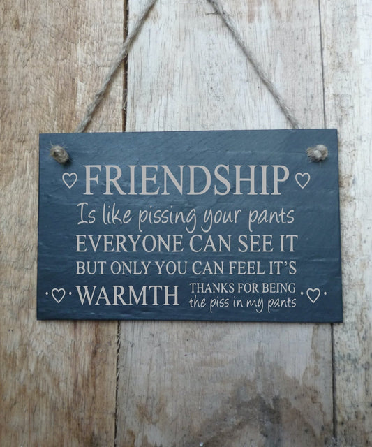 Friendship Is Like Pi***ng You Pants